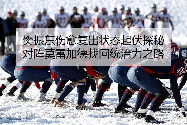 樊振东伤愈复出状态起伏探秘 对阵莫雷加德找回统治力之路